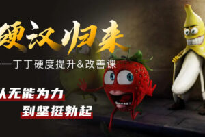 果然哥铁牛·丁丁硬度改善恢复课