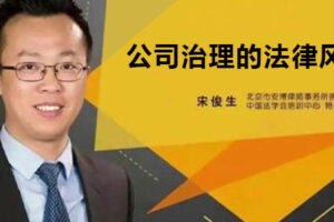 宋俊生《公司治理的法律风险》
