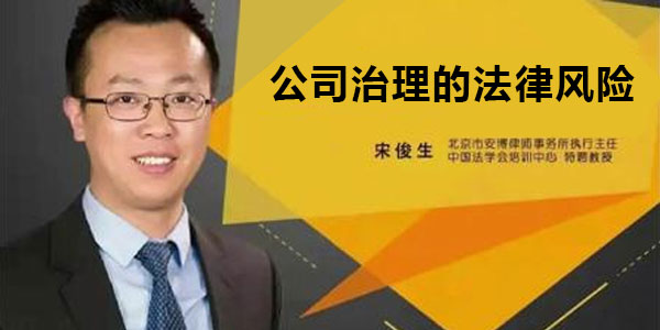 宋俊生《公司治理的法律风险》