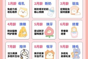 【宠物饲养】养猫技术教程养猫攻略