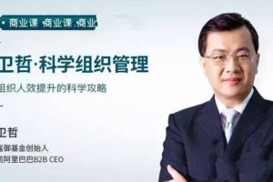 卫哲·科学组织管理 组织人效提升的科学攻略