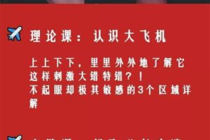 罗南希《王牌女机长-如何开好大飞机》