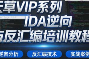 天草VIP系列IDA逆向与反汇编培训教程