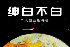 绅白不白·薅流矩阵玩法（1+2期）0成本虚拟电商陪跑项目