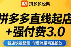 泓一老师·拼多多直线起店+强付费3.0（更新4月）