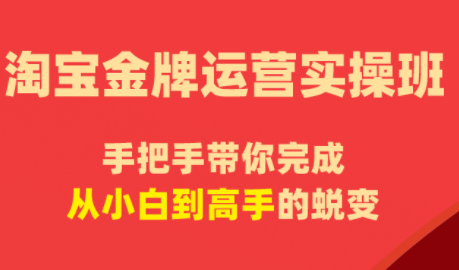飓风电商·淘宝金牌运营实操班