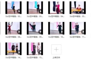 Sisy 空中中高级空中瑜伽串联15节课