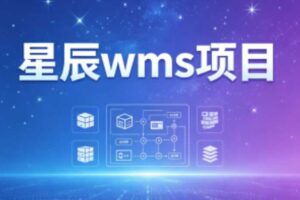 星辰wms项目