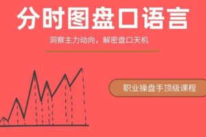 一飞金融《分时图盘口语言绝密主力操盘课程》