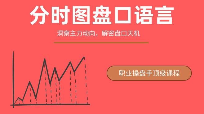 一飞金融《分时图盘口语言绝密主力操盘课程》