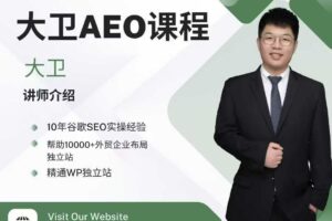 大卫AEO课程 带你从谷歌传统SEO到AEO顺利转型