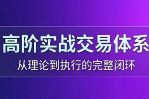 高老师·高阶实战交易体系（更新6月）