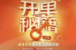天下网商·淘宝天猫陪跑计划（更新7月）