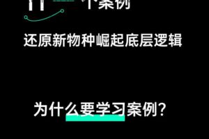 增长黑盒新消费品牌增长案例研究合集