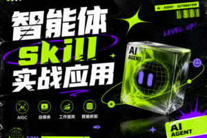 智能体skill实战应用，为寻求利用智能体进行工作提效的人打造，案例演示，纯实战课