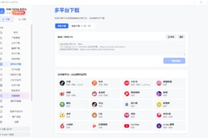 抖音快手小红书TikTok平台20+多平台短视频下载器v1.0.1