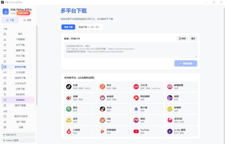 抖音快手小红书TikTok平台20+多平台短视频下载器v1.0.1