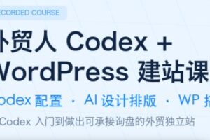 大卫·外贸人Codex+WordPress建站课（更新8月）