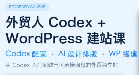大卫·外贸人Codex+WordPress建站课（更新8月）