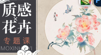 青禾质感花卉专题课