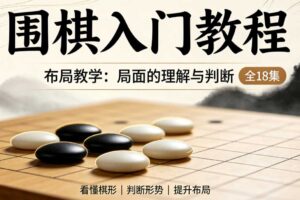 围棋教学视频入门教程_围棋布局教学局面的理解与判断全18集