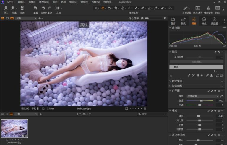 Capture One 23 RAW图像处理软件 v16.7.6.3417 中文破解版