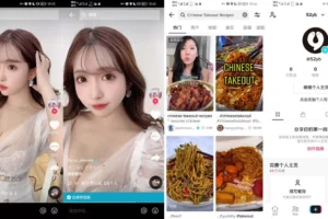 TikTok v44.7.3 去广告 去区域限制版