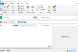 文件搜索神器 UltraSearch Pro v4.9.1.1204 中文绿色版