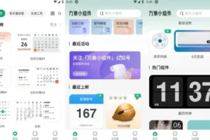 万象小组件APP(定制安卓手机桌面) v5.5.3(339) 解锁会员版