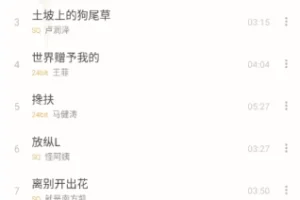 洛雪音乐 v1.8.7 ikun魔改版(洛雪音乐APP下载)手机端