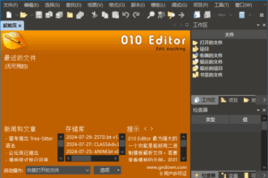 010 Editor 专业十六进制编辑器 v16.0.3 汉化版
