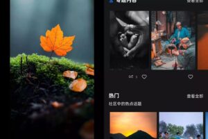 Adobe Lightroom安卓版(手机调色软件) v11.1.1 解锁高级版