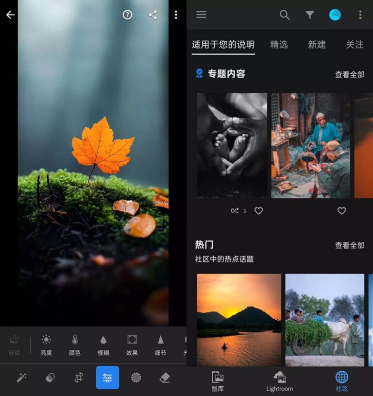 Adobe Lightroom安卓版(手机调色软件) v11.1.1 解锁高级版