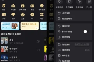 酷我音乐APP v12.0.6.4 去广告破解豪华vip版