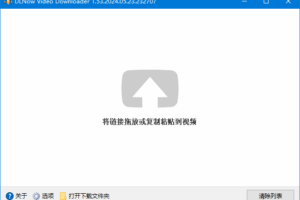 视频下载软件 DLNow Video Downloader v1.54.2026.02.22 中文绿色版