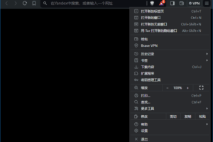 Brave Browser 快速私密网页浏览器 v1.88.132 中文绿色版