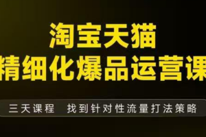 猫课子幽·淘宝天猫精细化爆品运营【音频+字幕+文档】