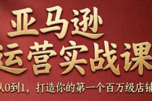 skyla·亚马逊运营实战课（更新8月）