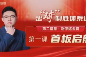 高能刘琦从认知重塑到交易精成，出琦制胜体系课 视频+指标资料