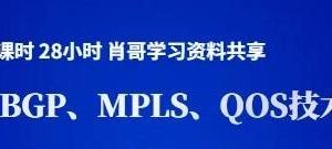 ISIS、BGP、MPLS v隧道、QOS 技术精讲（价值699元）