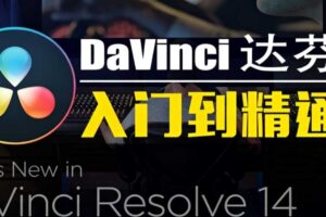 神鹰达芬奇入门到精通课程价值299